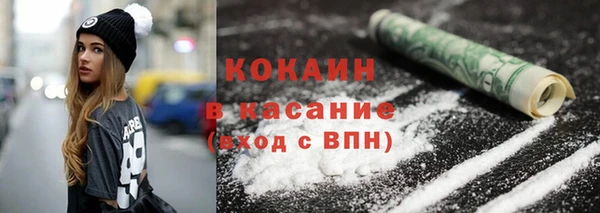 ECSTASY Богданович
