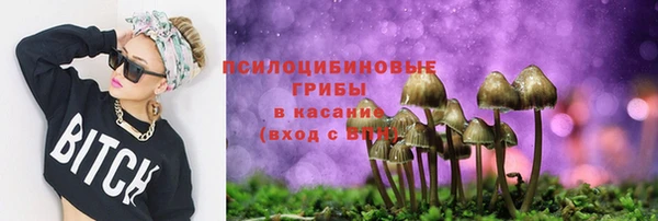ГАЛЛЮЦИНОГЕННЫЕ ГРИБЫ Богородск