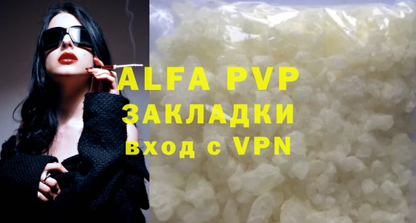 ECSTASY Богданович