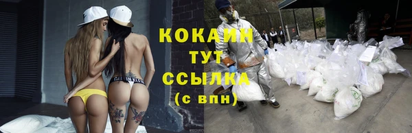 спиды Богородицк