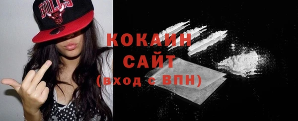 ECSTASY Богданович