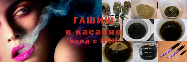 спиды Богородицк