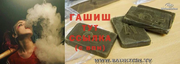 спиды Богородицк