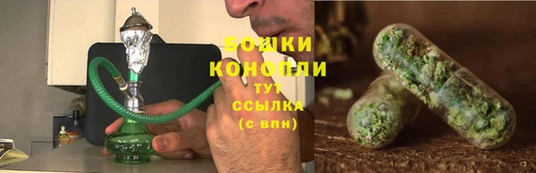 ГАЛЛЮЦИНОГЕННЫЕ ГРИБЫ Богородск