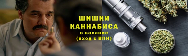ГАЛЛЮЦИНОГЕННЫЕ ГРИБЫ Богородск