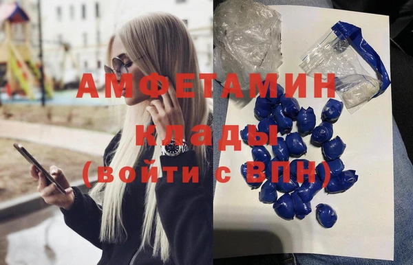 ECSTASY Богданович