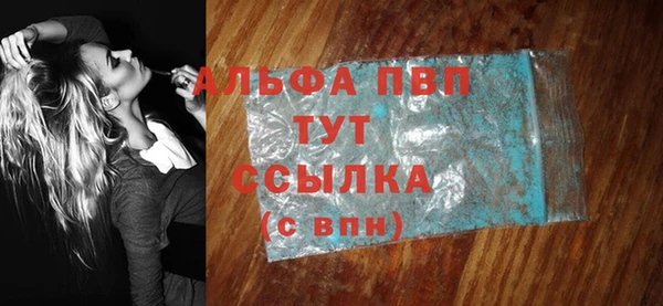 ECSTASY Богданович