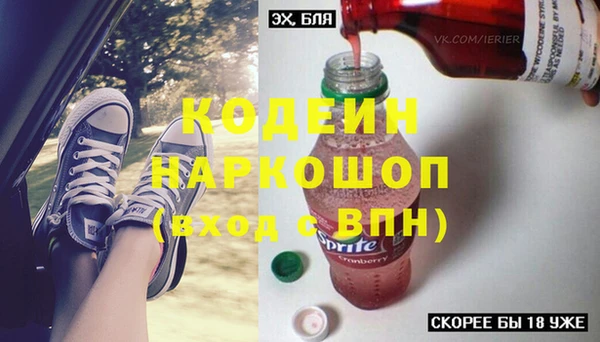 спиды Богородицк