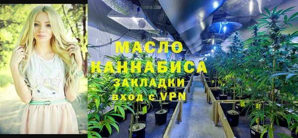 ECSTASY Богданович