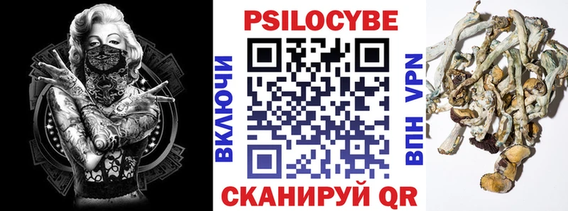 Галлюциногенные грибы Cubensis  МЕГА   Медногорск 